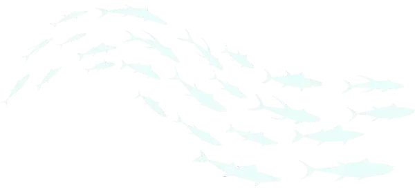 Banc de poissons blancs stylisés formant une vague, symbolisant l'unité et la diversité aquatique