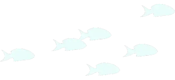 Silhouettes minimalistes de poissons en blanc sur fond noir, illustrant la sérénité de la vie sous-marine