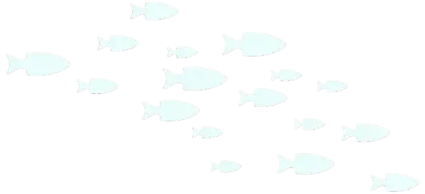 Silhouettes de poissons en banc sur fond noir, représentant la diversité et la dynamique de la vie sous-marine