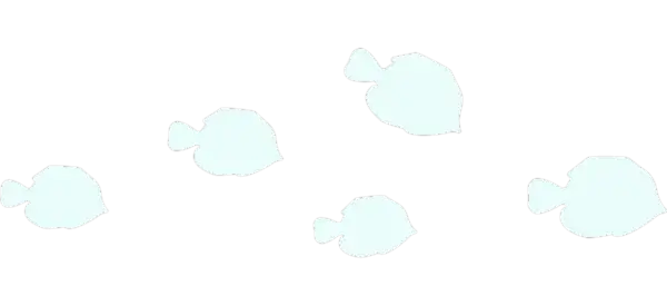 Silhouettes minimalistes de poissons blancs sur fond noir, pour une représentation sobre de la vie marine